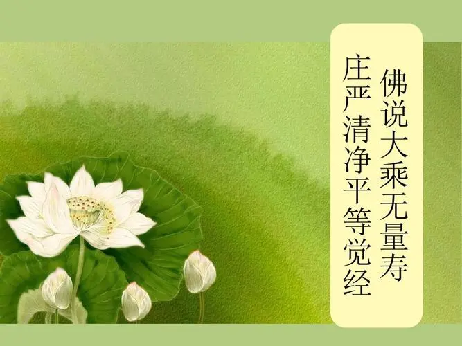 《佛说大乘无量寿庄严清净平等觉经》